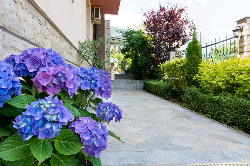 Siena House Hotel โซโซโปล ภายนอก รูปภาพ